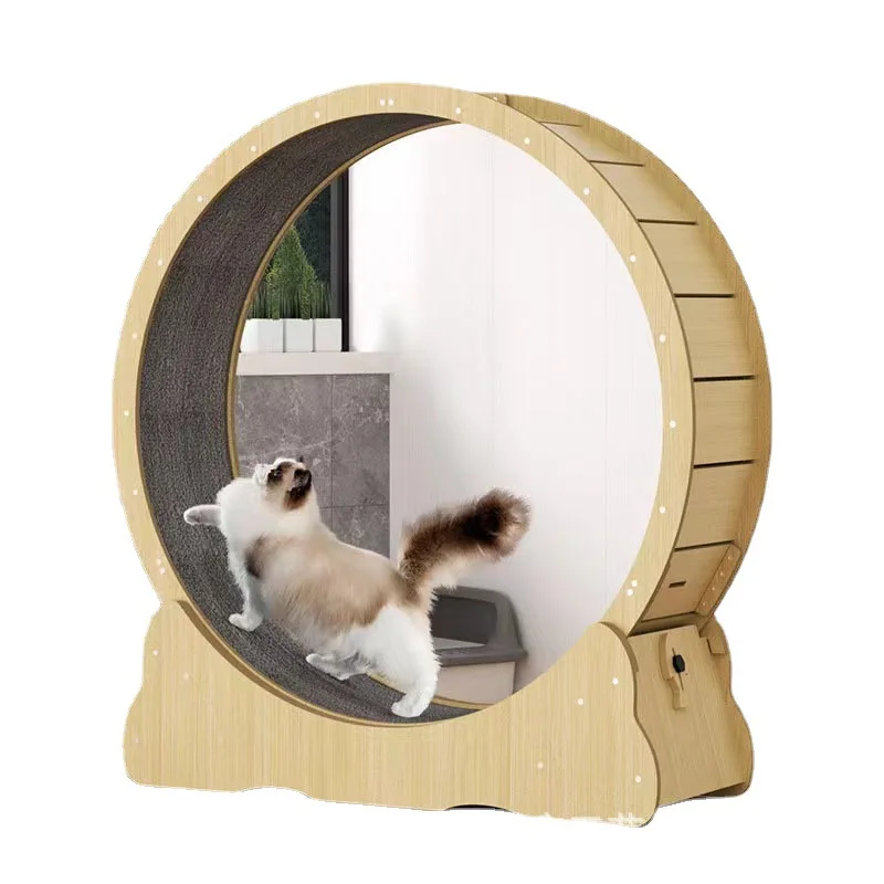 Interactive Cat Toy - Katzen-Fitnessrad, Innenspielzeug, Katze, interaktives Spielzeug, großes