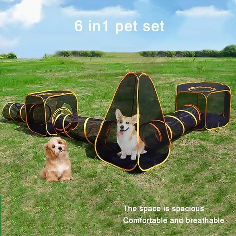 Interactive Cat Toy - 6-in-1 Katzenzelt mit Tunnel für drinnen