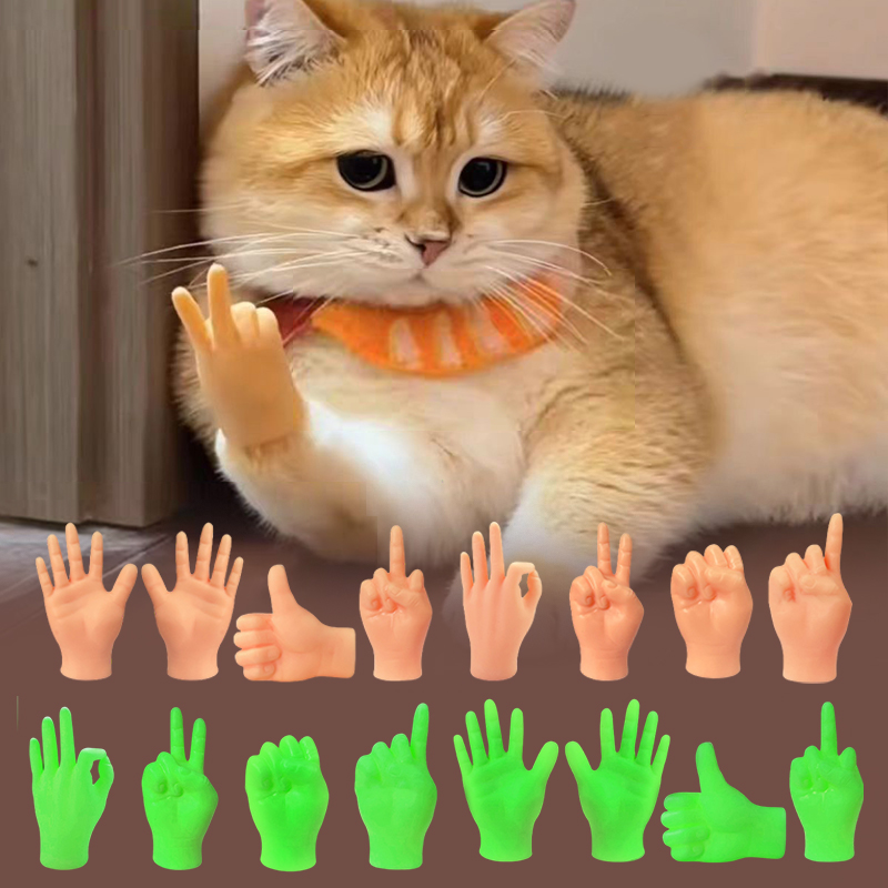 Kreative Katze Interaktive Lus – Interactive Cat Toy Bewertung und Preis