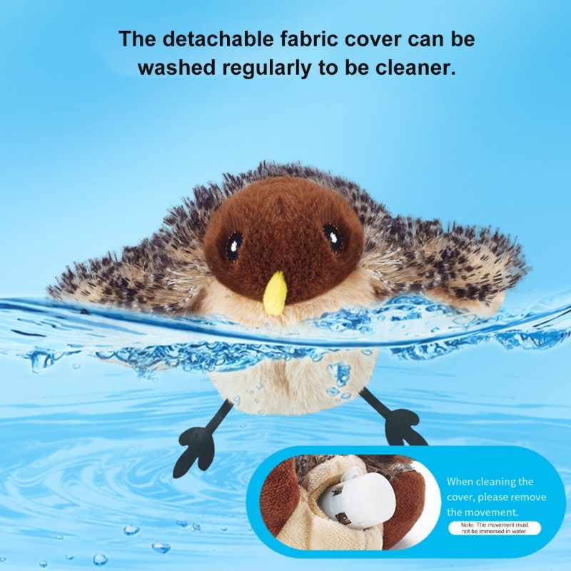 Fernbedienung, flatternder Vog – Interactive Cat Toy Bewertung und Preis