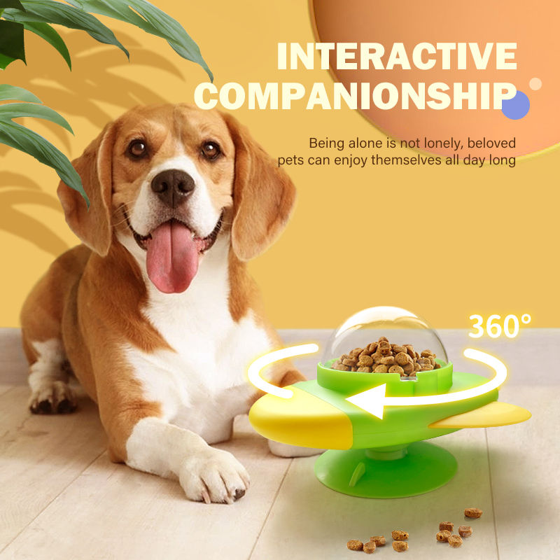 Interaktives Katzenspielzeug D – Dog Treat Puzzle Toy Bewertung und Preis