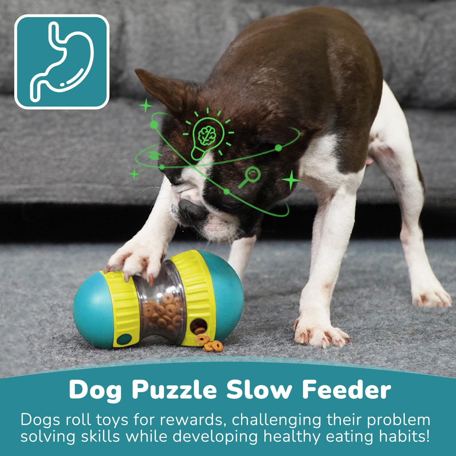 Hundespielzeug und verstellbar – Dog Treat Puzzle Toy Bewertung und Preis