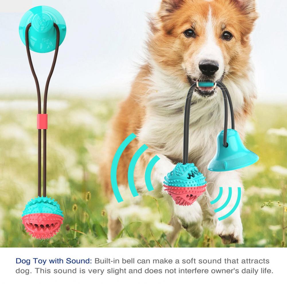 Kauspielzeug für Hunde für agg – Dog Treat Puzzle Toy Bewertung und Preis