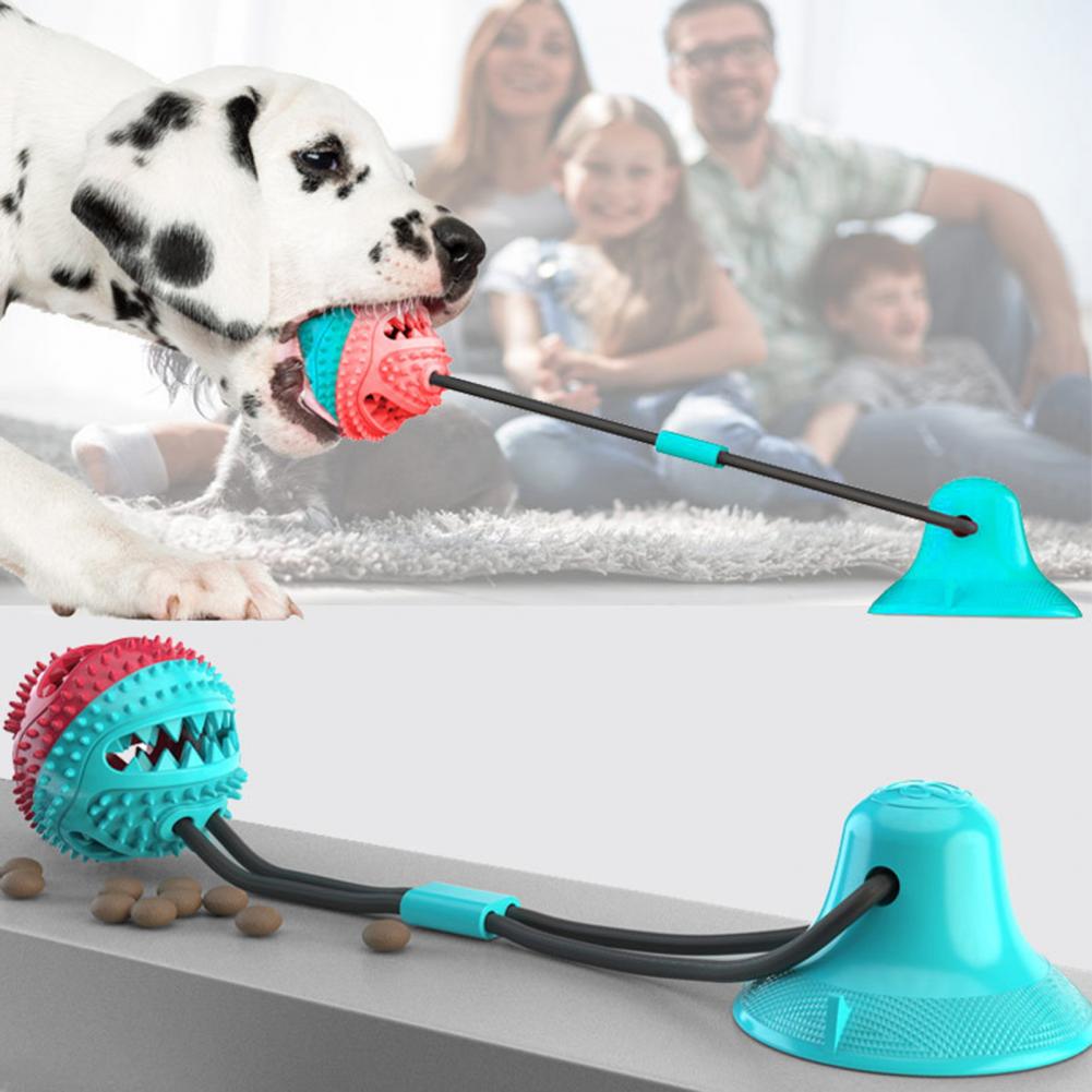 Kauspielzeug für Hunde für agg – Dog Treat Puzzle Toy Bewertung und Preis