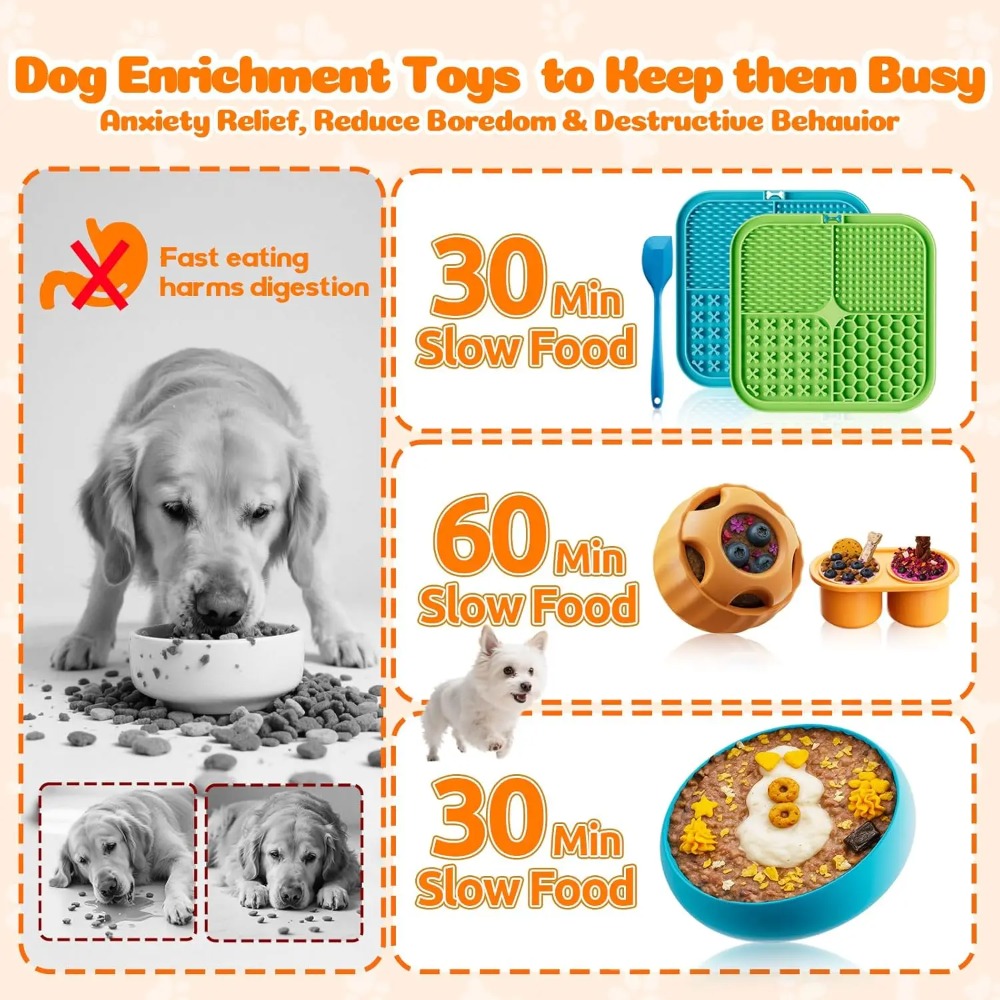 Hunde-Beschäftigungsspielzeug  – Dog Treat Puzzle Toy Bewertung und Preis
