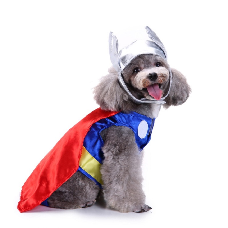 Hundekleidung, Heimtierbedarf, – Pet Supplies And More Bewertung und Preis
