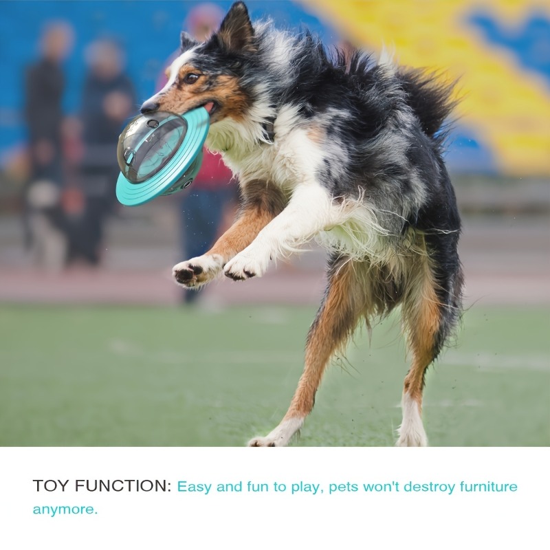 Interaktives Design, Hundeball – Dog Treat Puzzle Toy Bewertung und Preis
