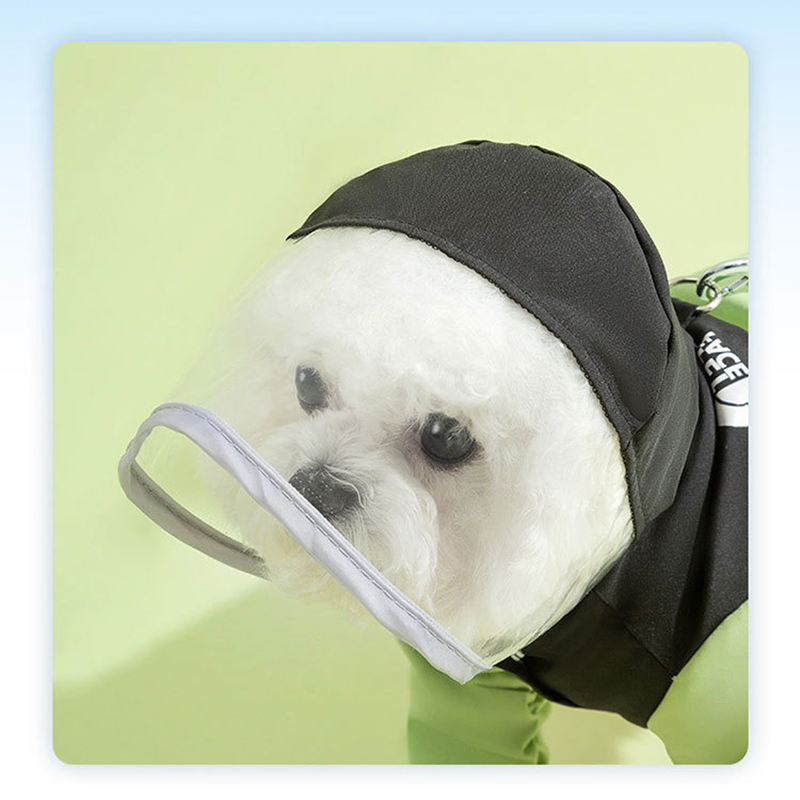 Haustier-Regenmantel mit Kapuz – Dog Raincoat Bewertung und Preis