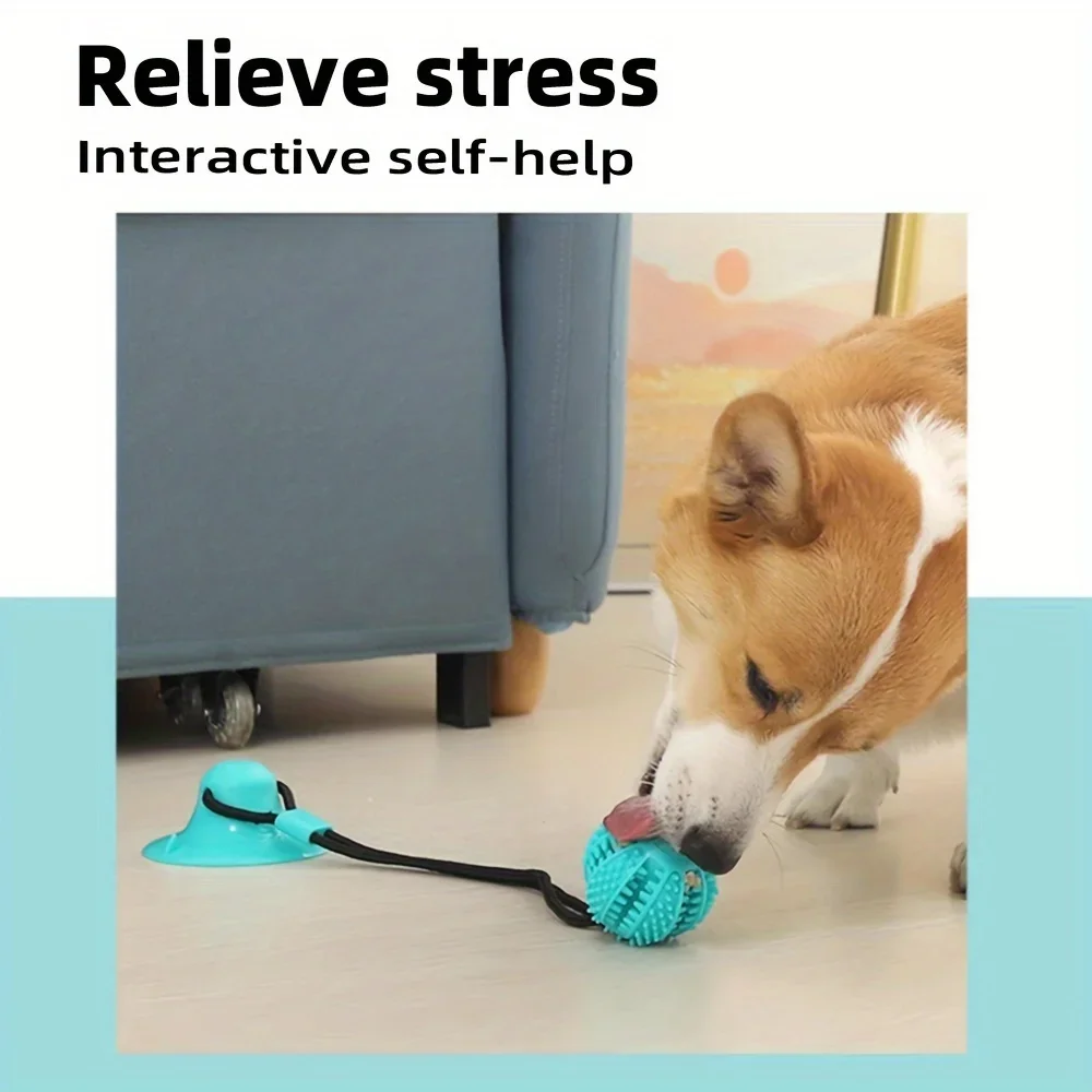 Interaktives Hunde-Saugnapfspi – Dog Treat Puzzle Toy Bewertung und Preis