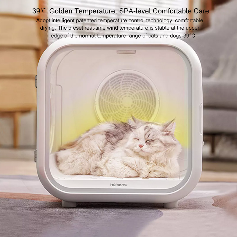 Vollautomatische Haustier-Katz – Pet Supplies And More Bewertung und Preis