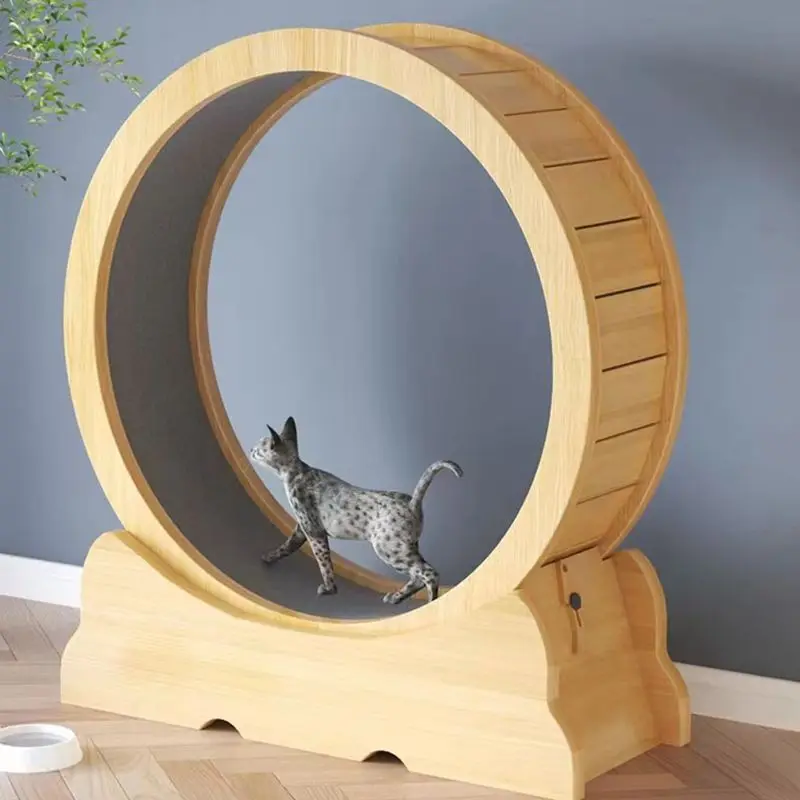 Katzen-Fitnessrad, Innenspielz – Interactive Cat Toy Bewertung und Preis