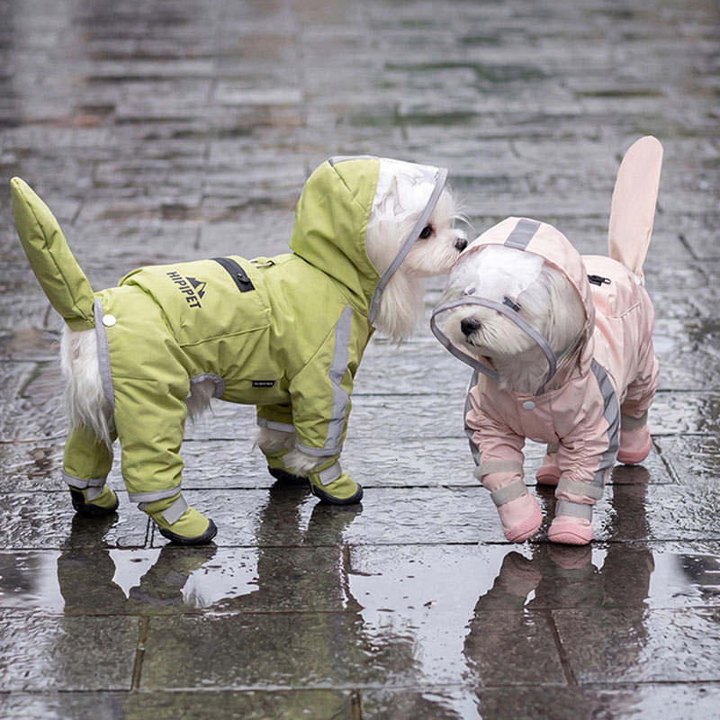 Wasserdichter Hunde-Regenmante – Dog Raincoat Bewertung und Preis