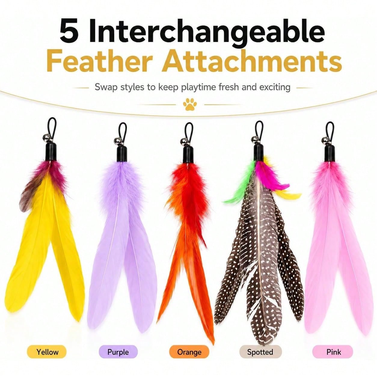 Katzenspielzeug mit 5 Federanb – Interactive Cat Toy Bewertung und Preis