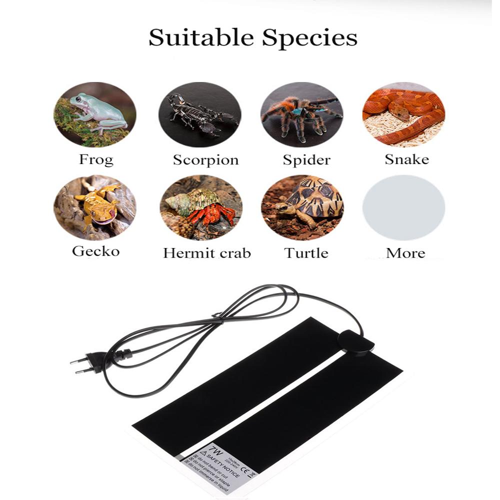 AC110V~240V Reptilien-Inkubato – Reptile Heating Mat Bewertung und Preis