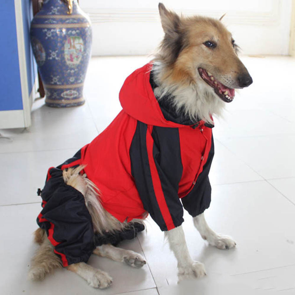 Wasserdichter Hunde-Regenmante – Dog Raincoat Bewertung und Preis
