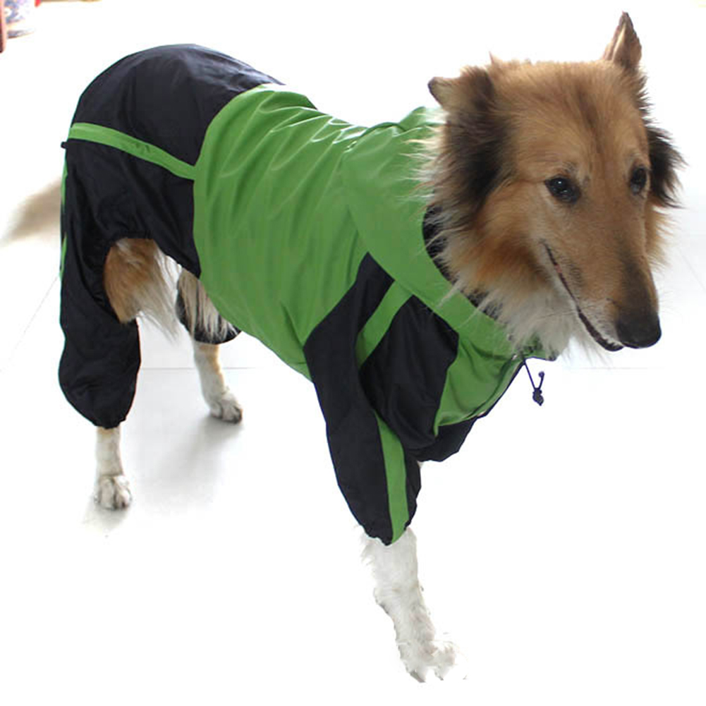 Wasserdichter Hunde-Regenmante – Dog Raincoat Bewertung und Preis