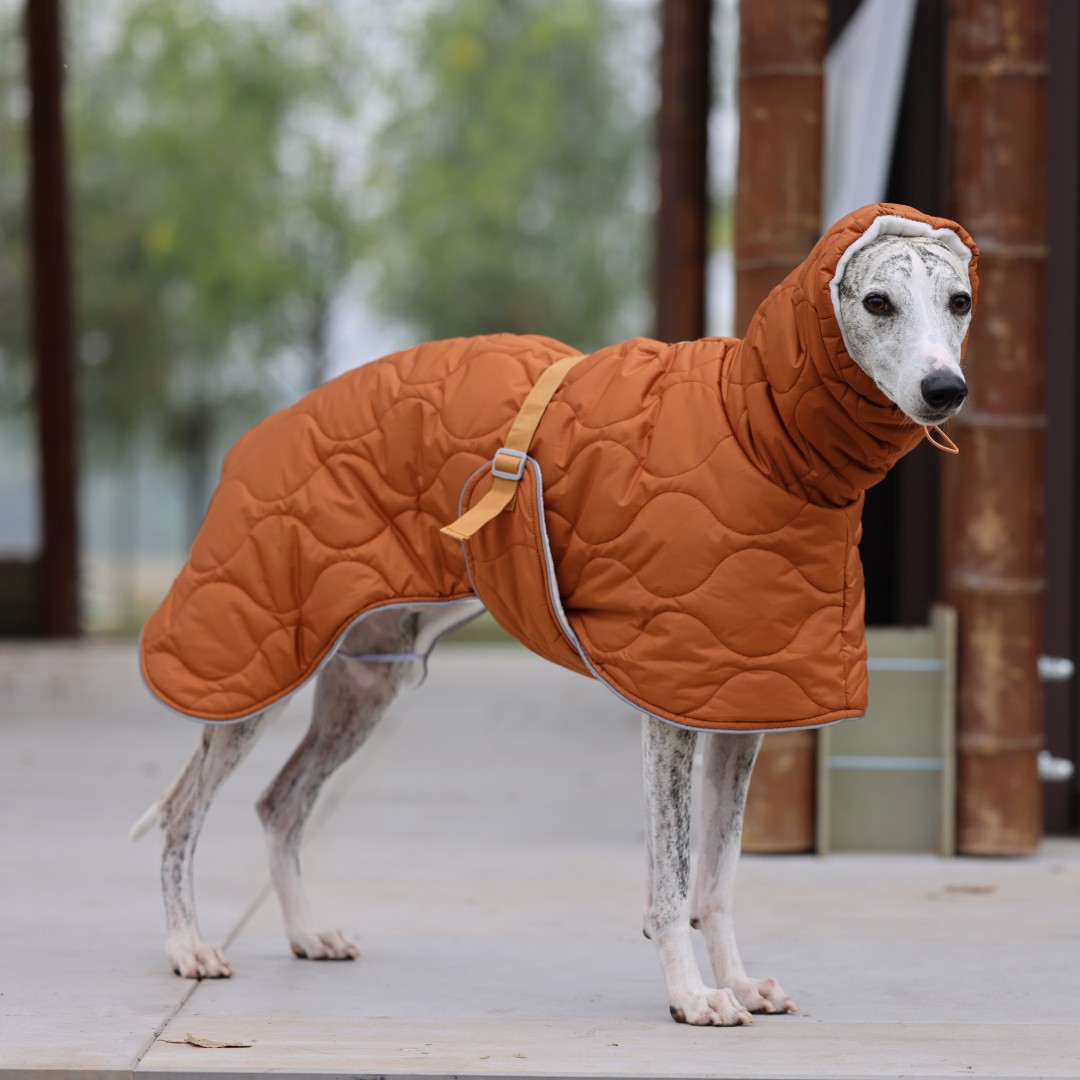 Warme Winter-Hundejacke für kl – Dog Raincoat Bewertung und Preis