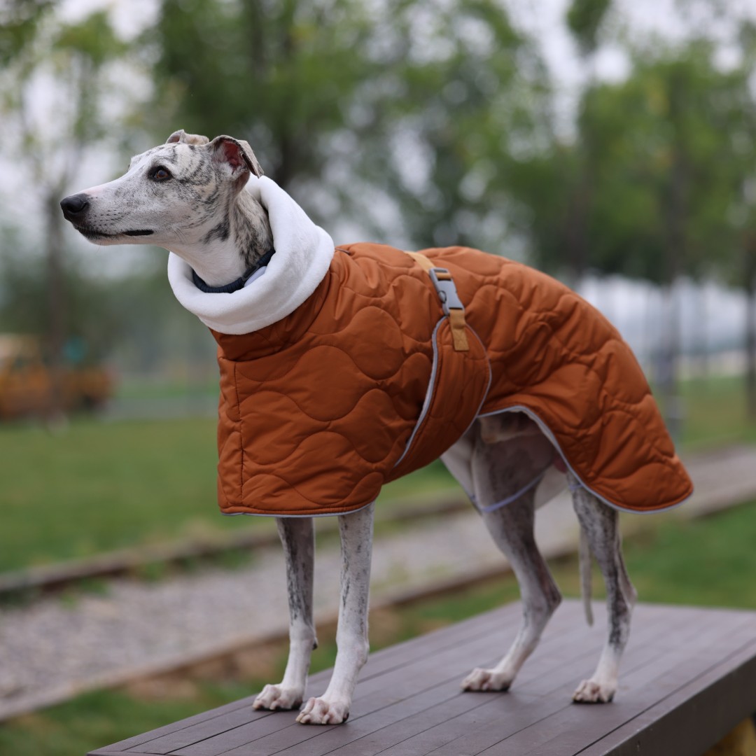 Warme Winter-Hundejacke für kl – Dog Raincoat Bewertung und Preis