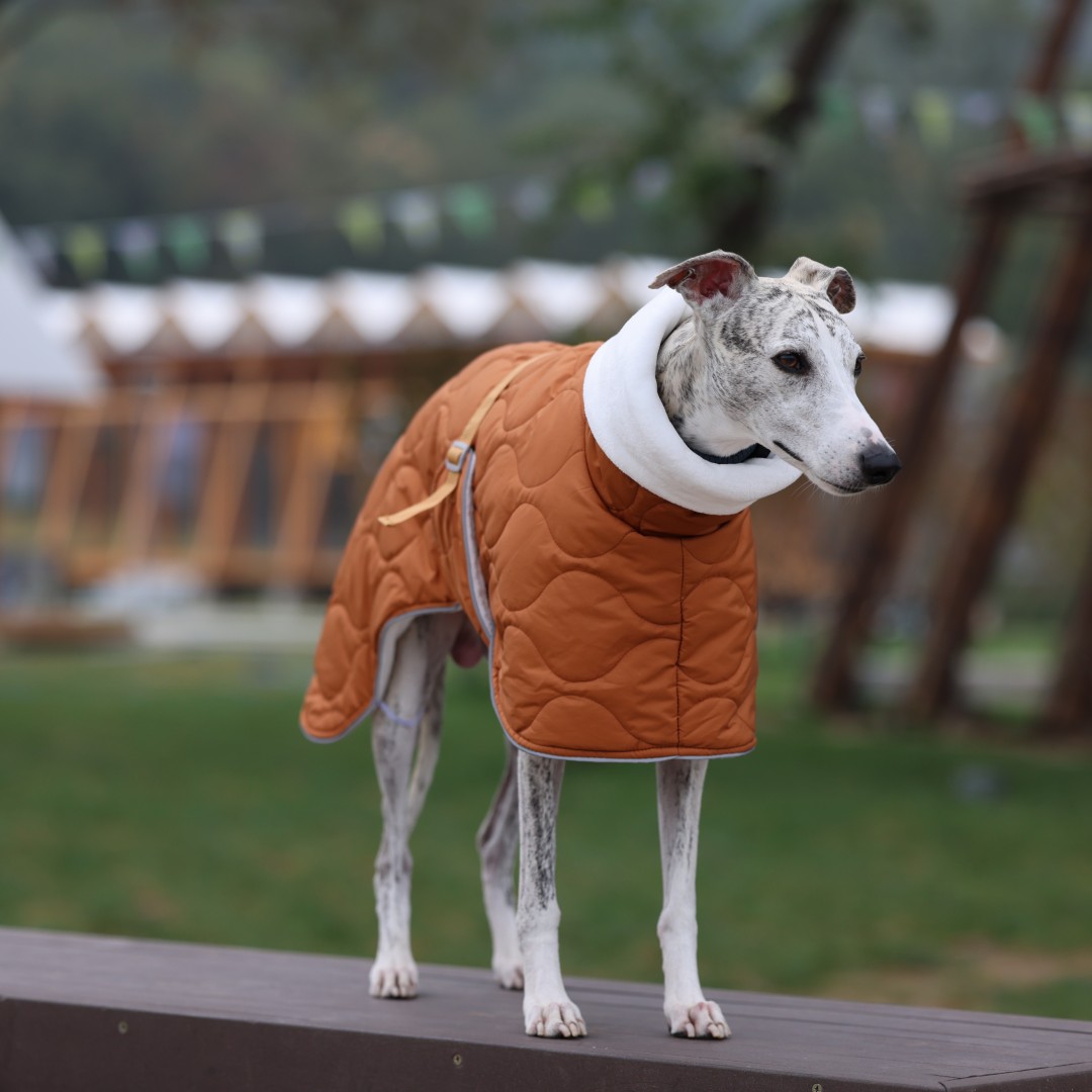 Warme Winter-Hundejacke für kl – Dog Raincoat Bewertung und Preis