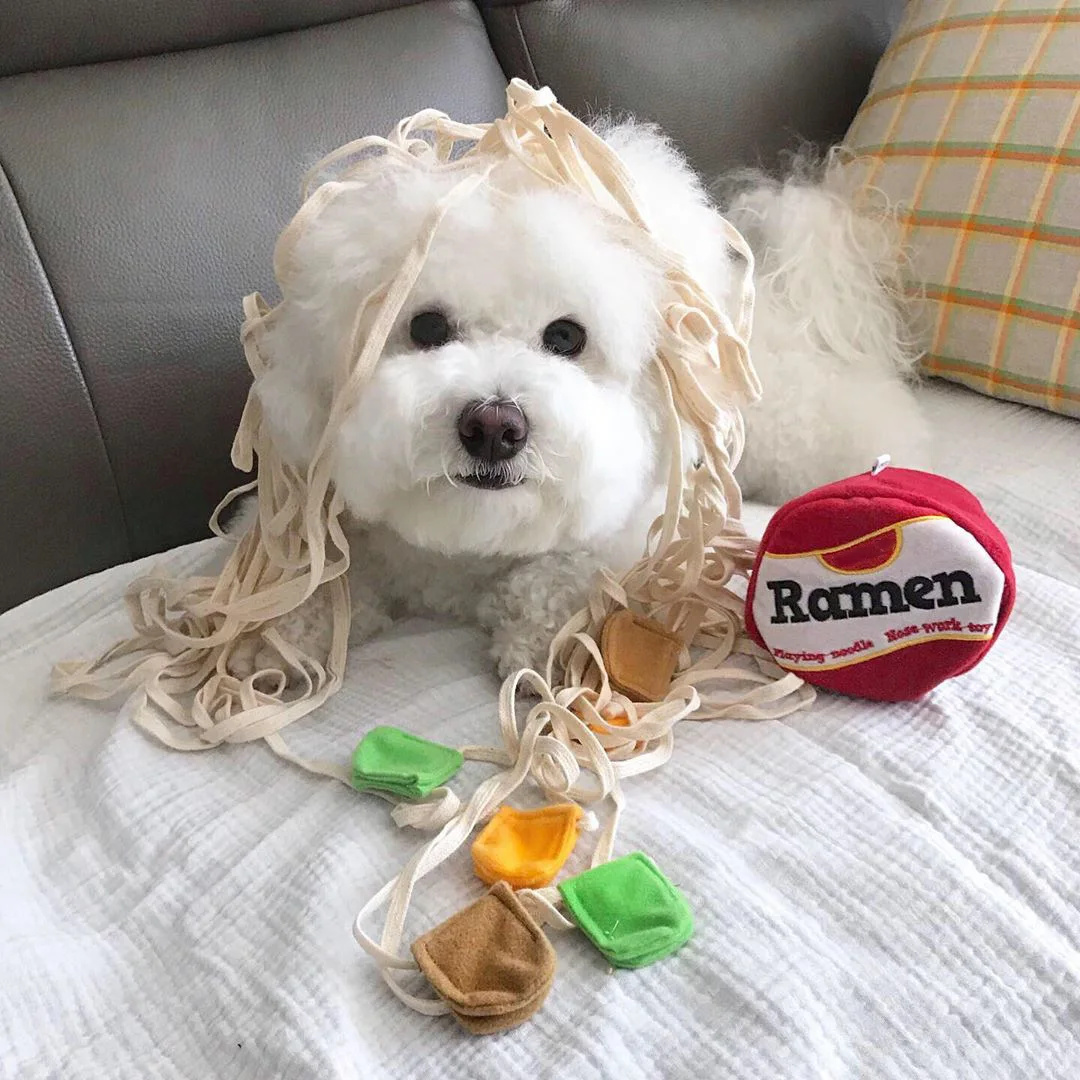 Hunde Schnüffel Spielzeug Welp – Dog Treat Puzzle Toy Bewertung und Preis
