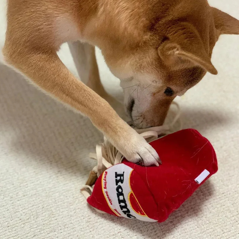Hunde Schnüffel Spielzeug Welp – Dog Treat Puzzle Toy Bewertung und Preis