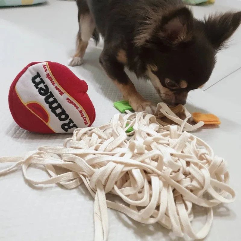 Hunde Schnüffel Spielzeug Welp – Dog Treat Puzzle Toy Bewertung und Preis