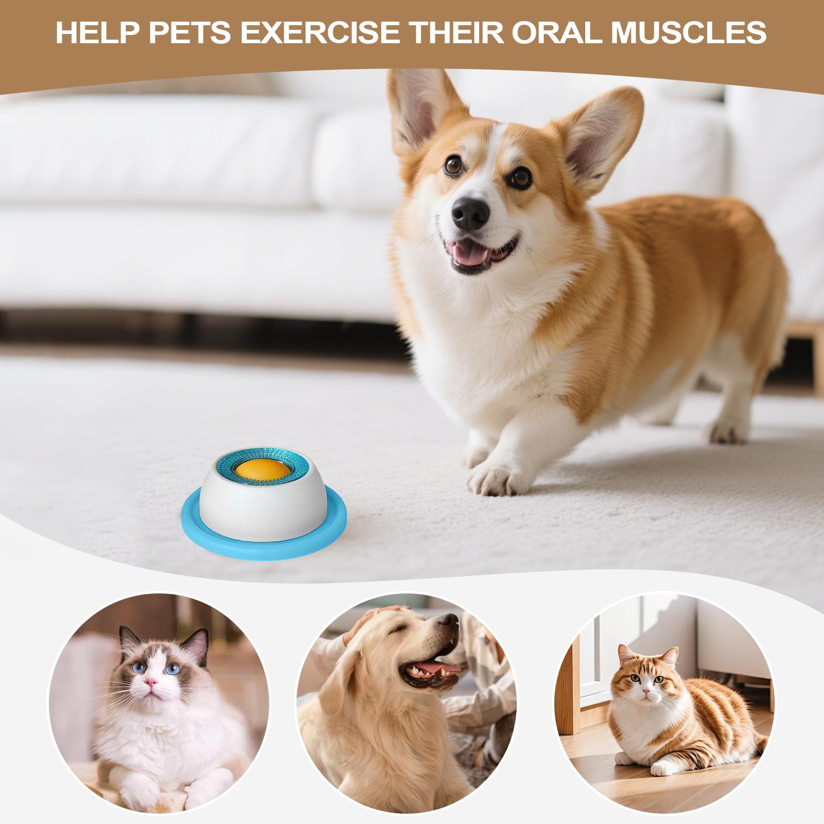 Haustier Fütterung Zubehör Hun – Dog Treat Puzzle Toy Bewertung und Preis
